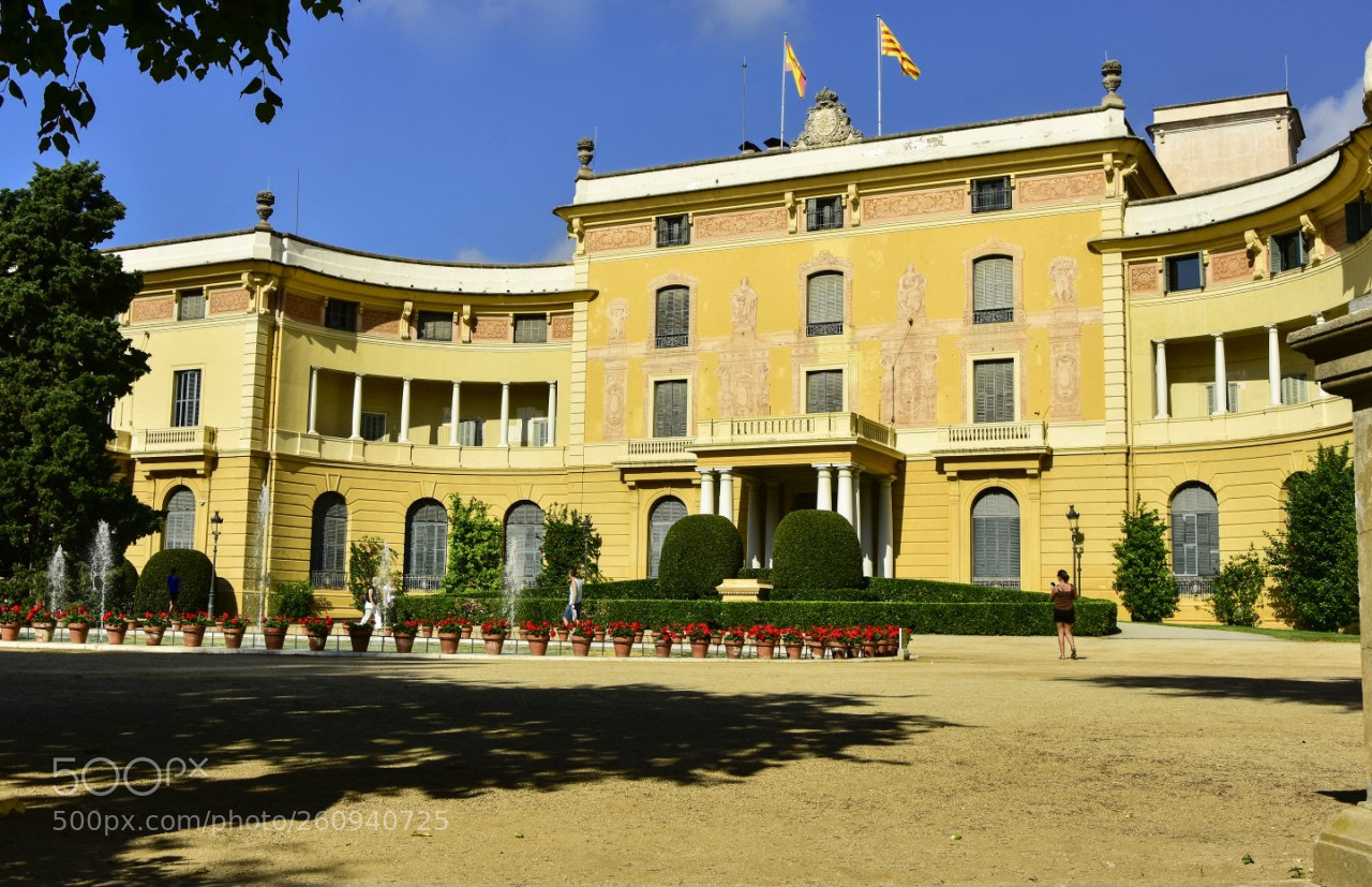 Nikon D7200 sample photo. Palau reial photography