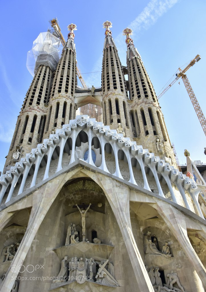 Nikon D7200 sample photo. Sagrada familia photography