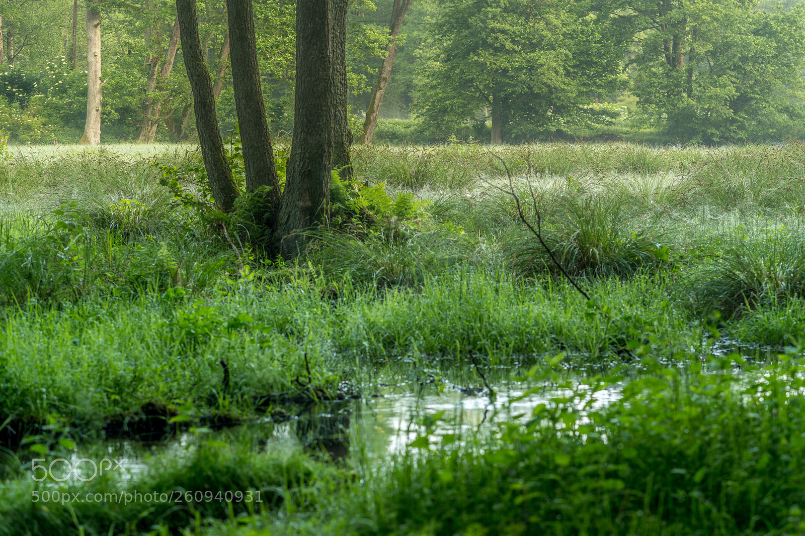 Sony a7R III sample photo. After sunrise photography