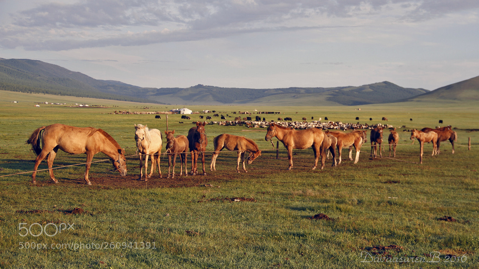 Canon EOS 7D sample photo. Life mongolia photography