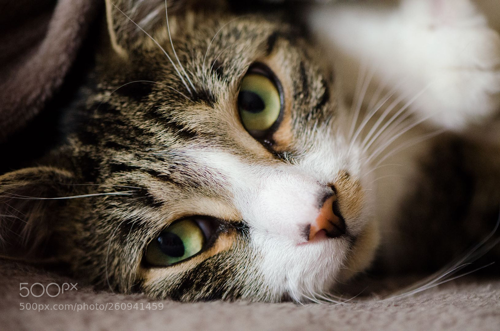Nikon D5100 sample photo. Buttons photography