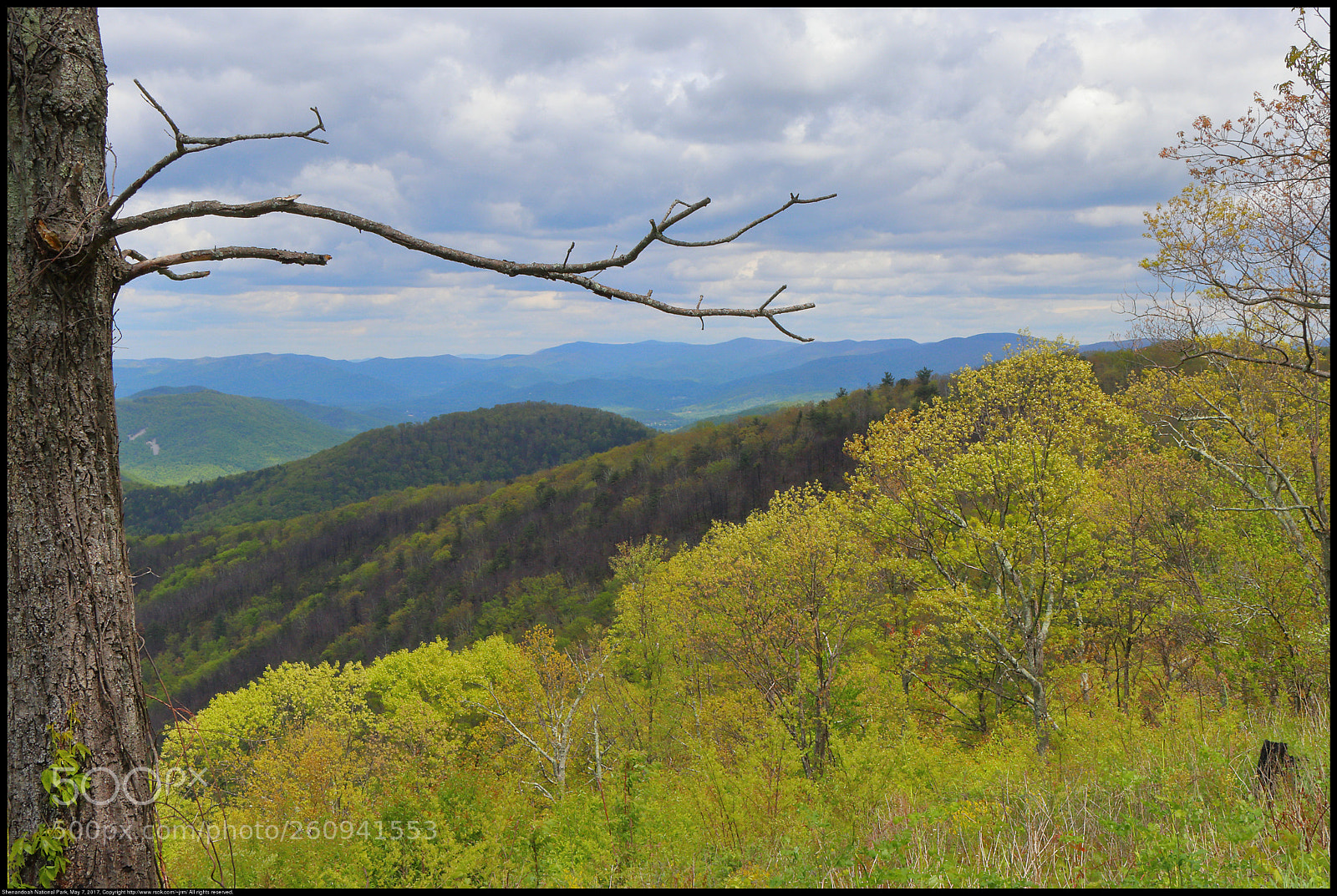 Canon EOS 80D sample photo. Shenandoah national park photography