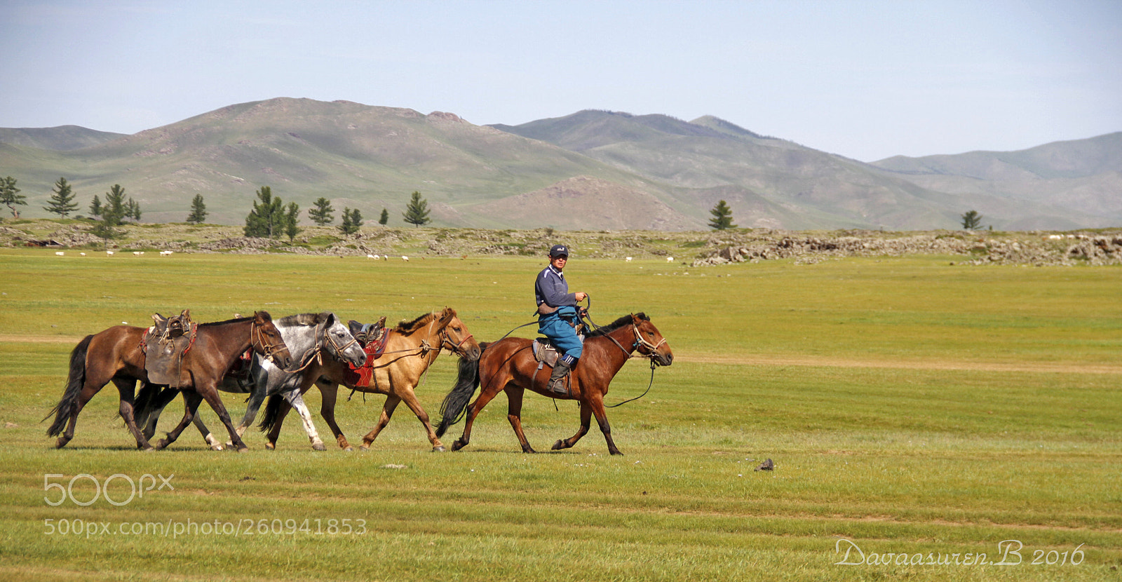 Canon EOS 7D sample photo. Life mongolia photography