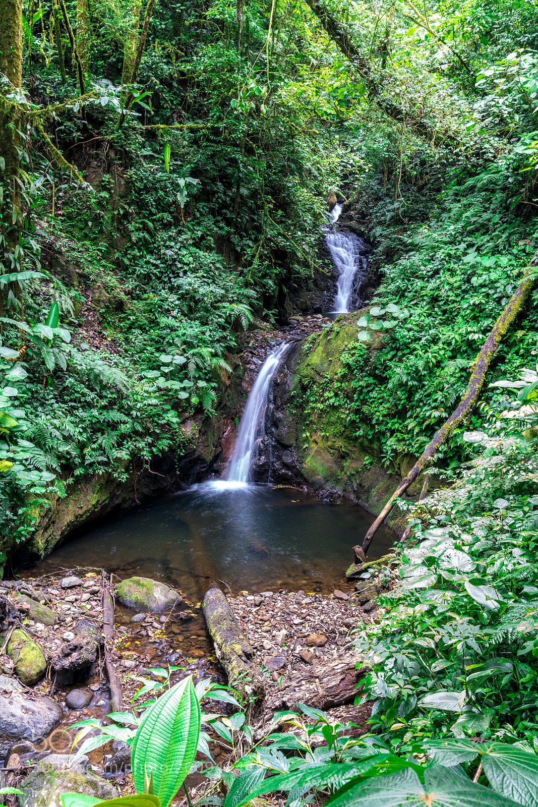 Sony a7R III sample photo. Little waterfall photography