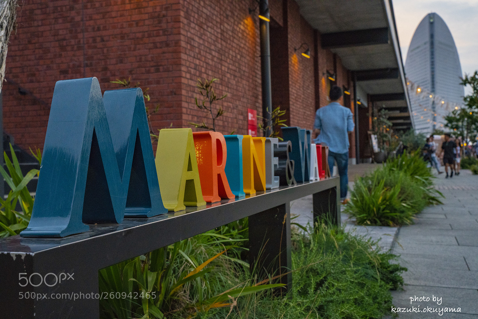 Sony a7R II sample photo. Dsc photography