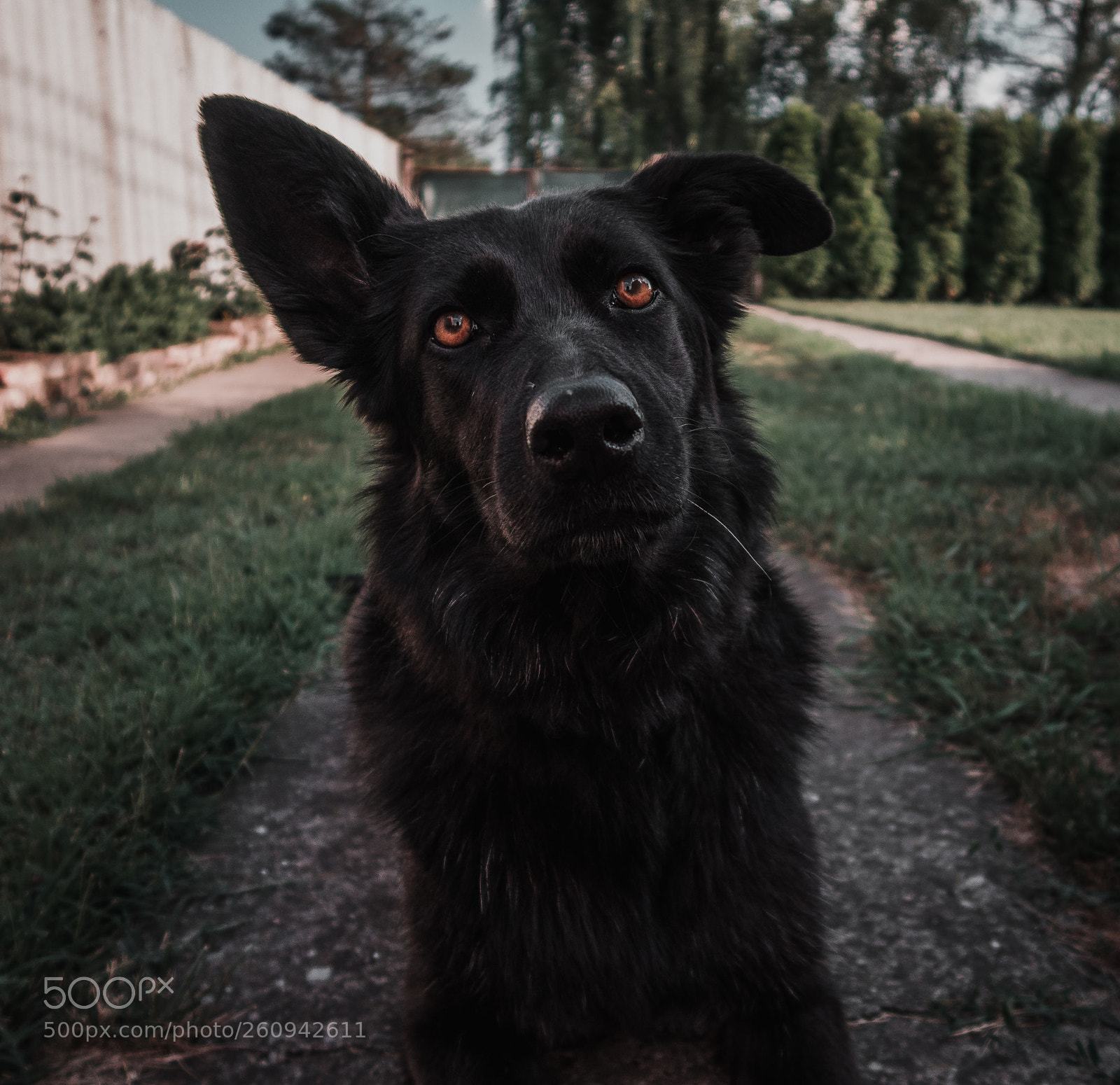 Canon PowerShot G7 X Mark II sample photo. Black gsd photography
