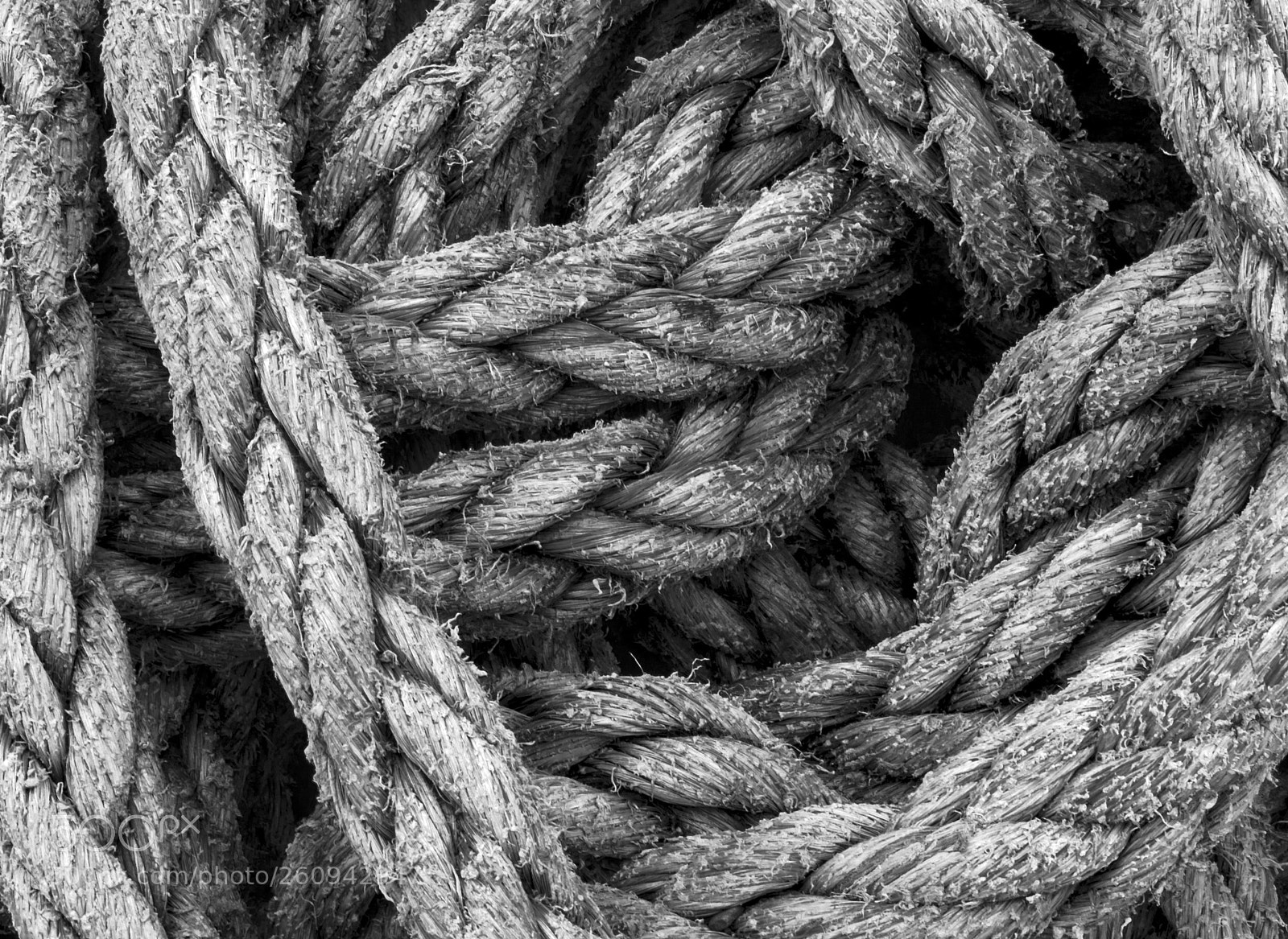Canon EOS 40D sample photo. Fishing rope photography