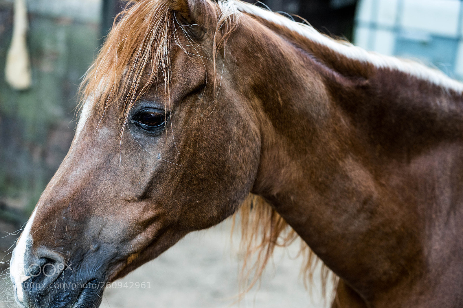Sony a7 II sample photo. Dsc photography