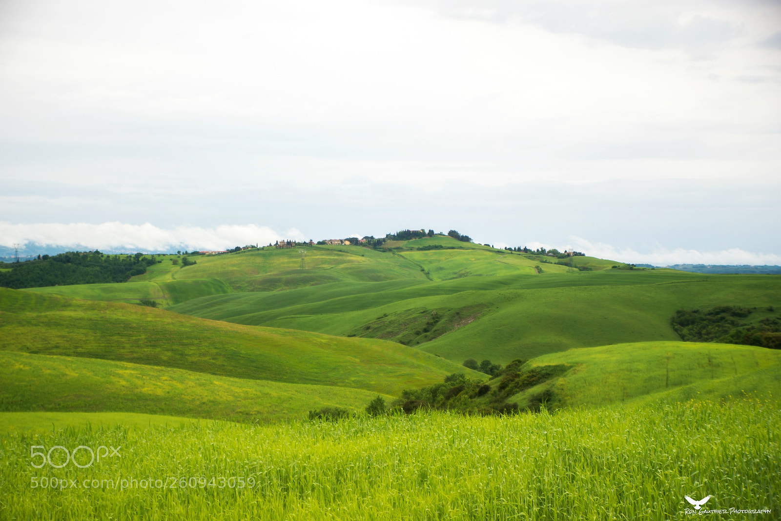 Nikon D610 sample photo. Tuscany with love !! photography