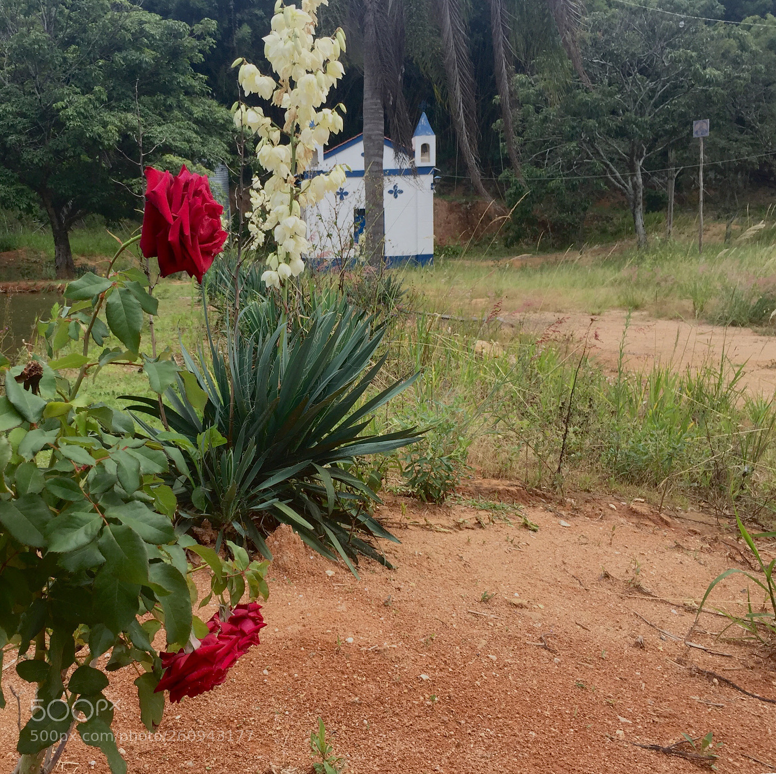 Apple iPhone 6 sample photo. Capela photography