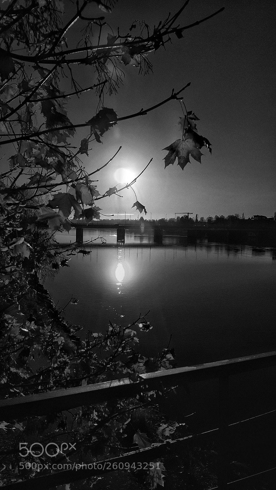 Samsung Galaxy S6 sample photo. Sun reflections in bw photography