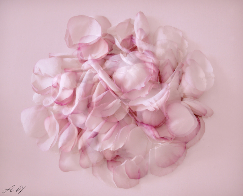 Olympus PEN E-PL1 sample photo. Romantique photography