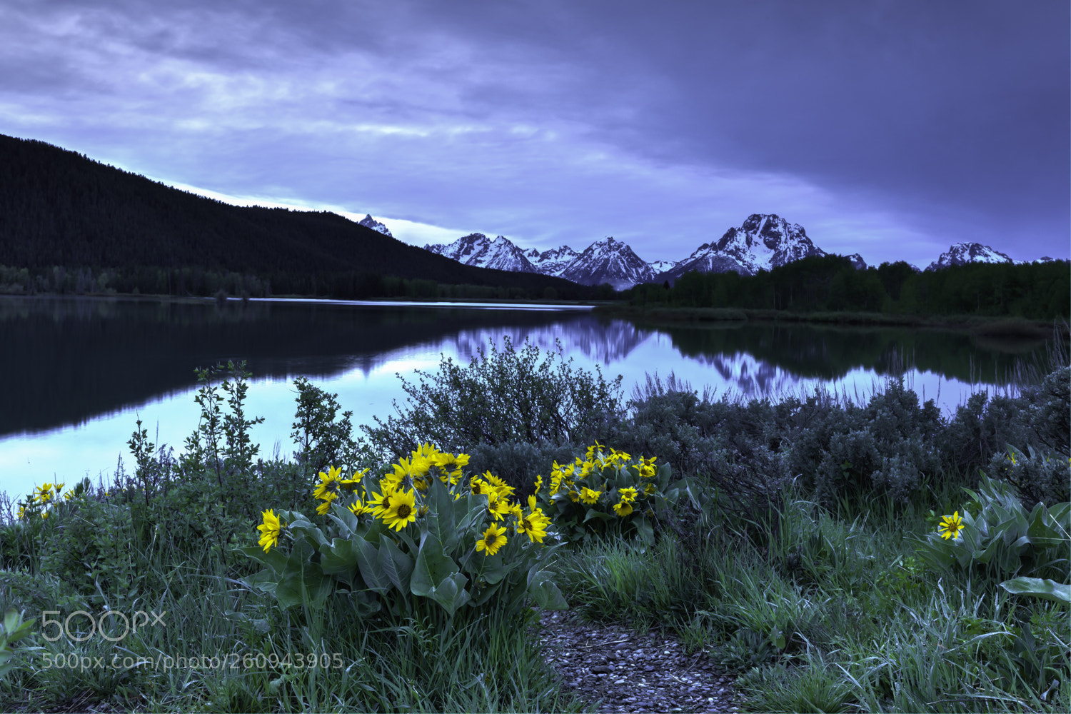 Canon EOS 5D Mark IV sample photo. Morning at oxbow bend photography