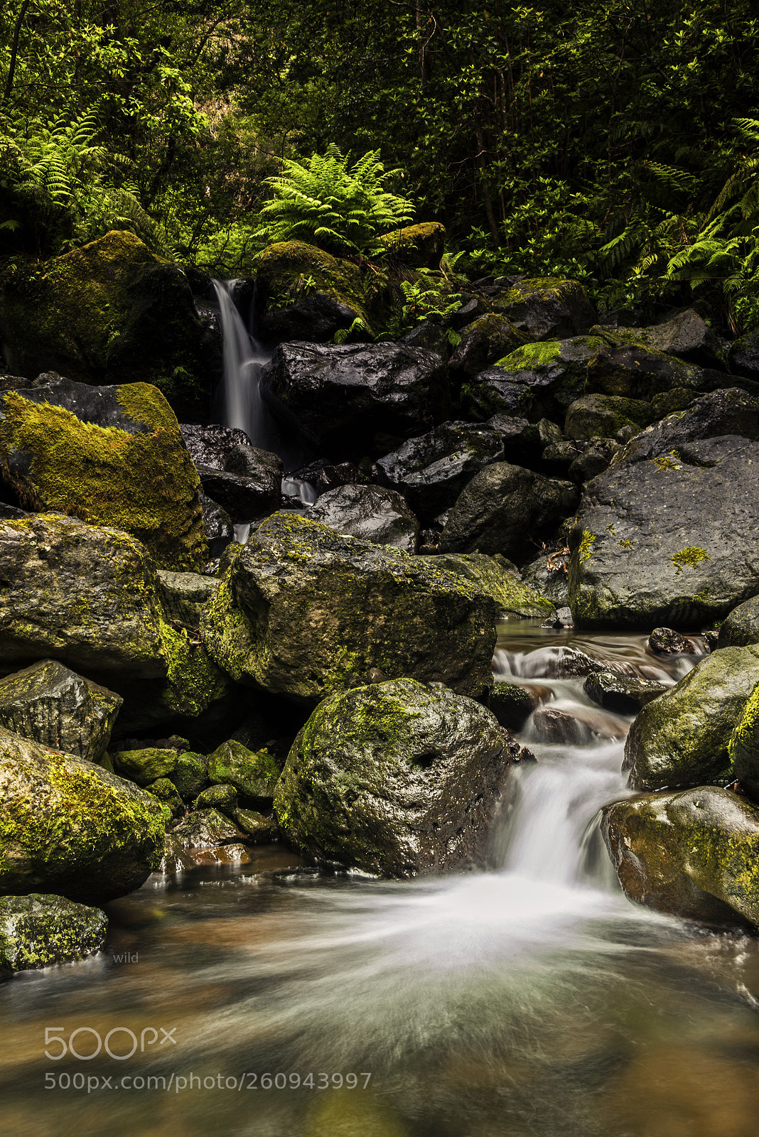 Nikon D610 sample photo. Places of the mountain photography