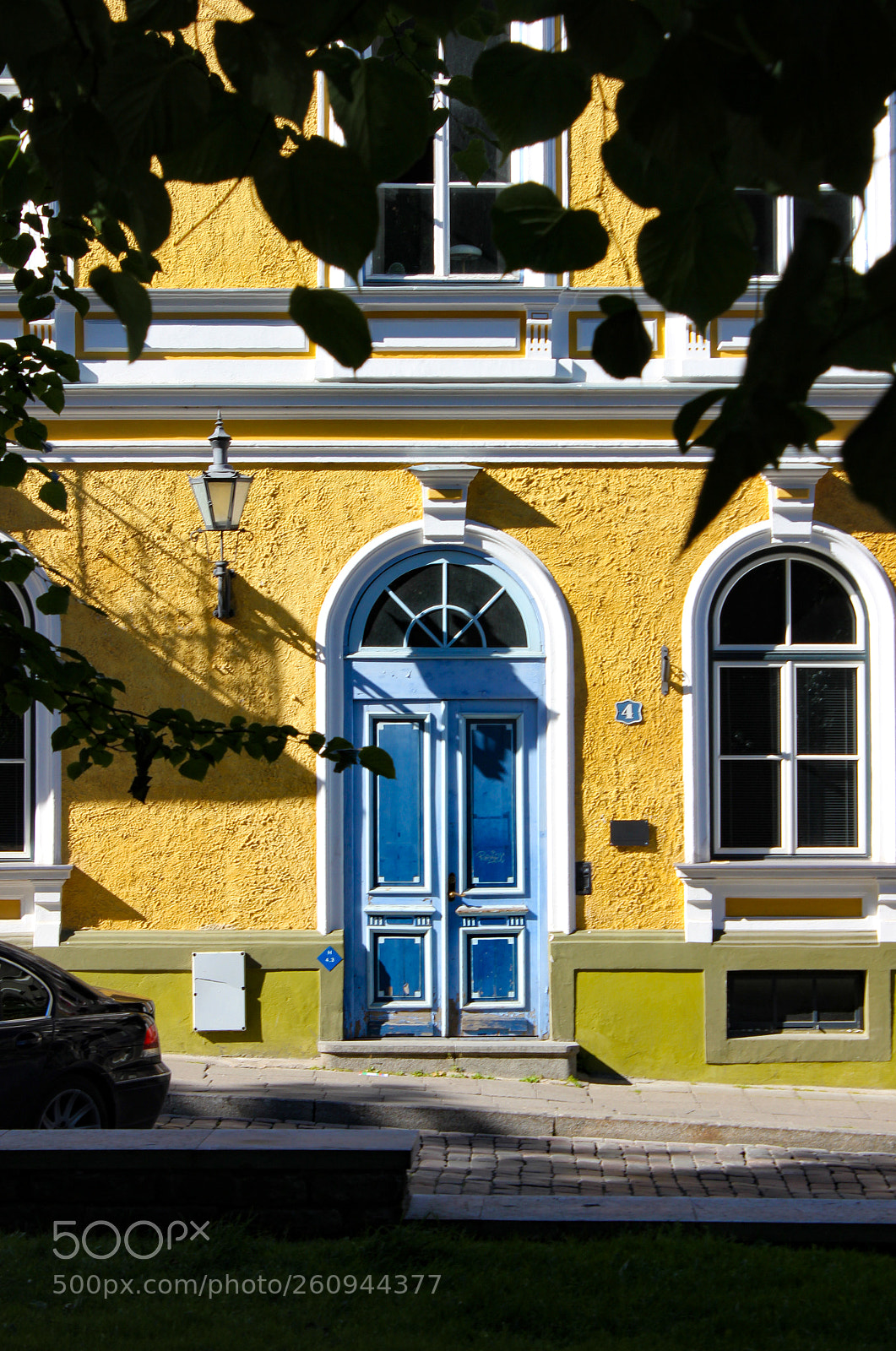 Canon EOS 550D (EOS Rebel T2i / EOS Kiss X4) sample photo. Blue door through leaves photography