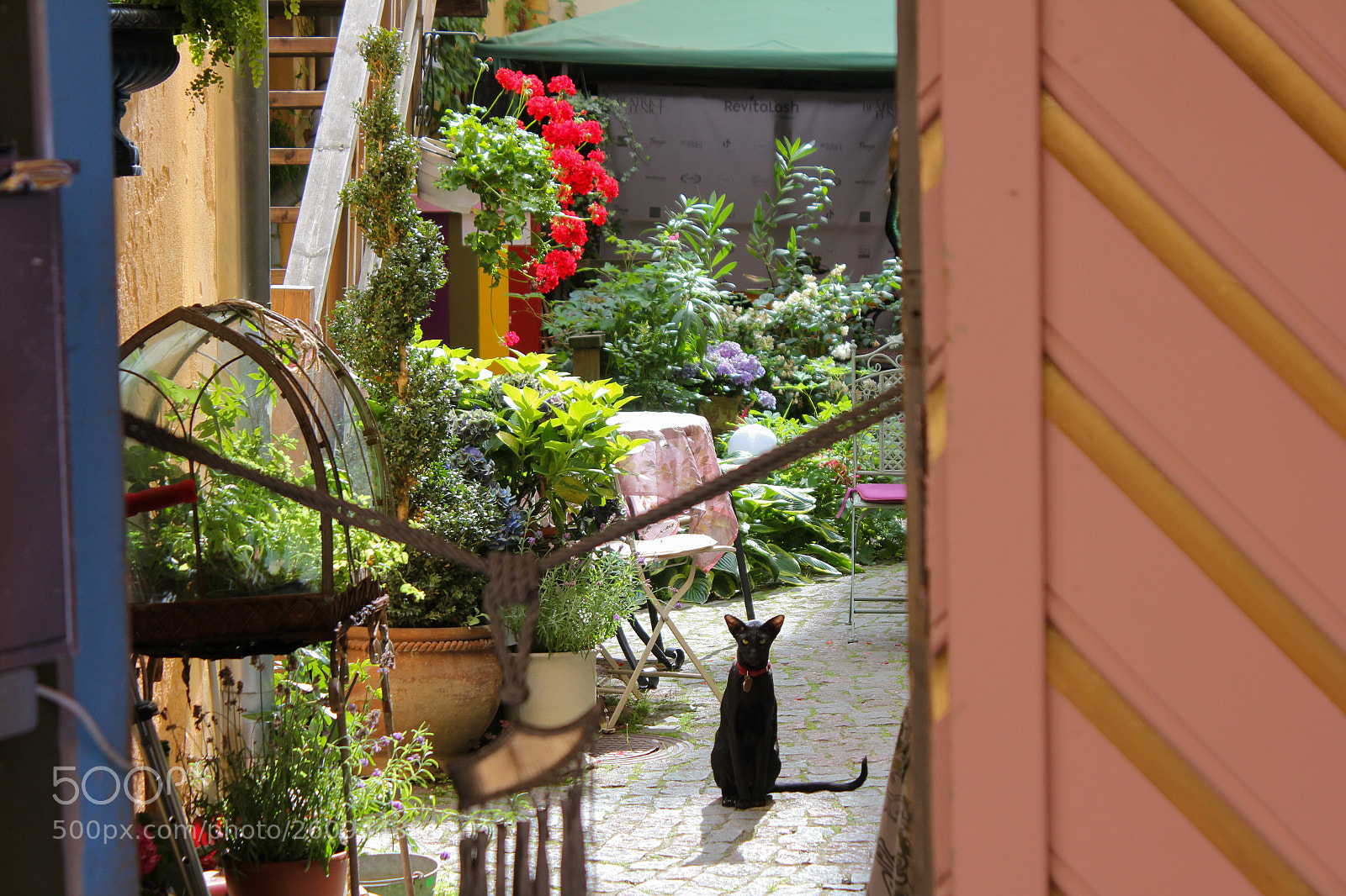 Canon EOS 550D (EOS Rebel T2i / EOS Kiss X4) sample photo. One curious boy in photography