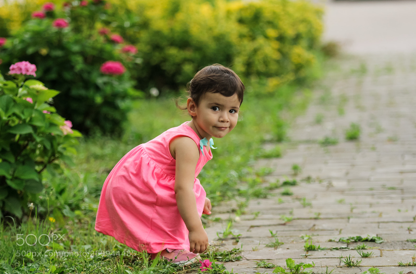 Canon EOS 650D (EOS Rebel T4i / EOS Kiss X6i) sample photo. Happy child photography
