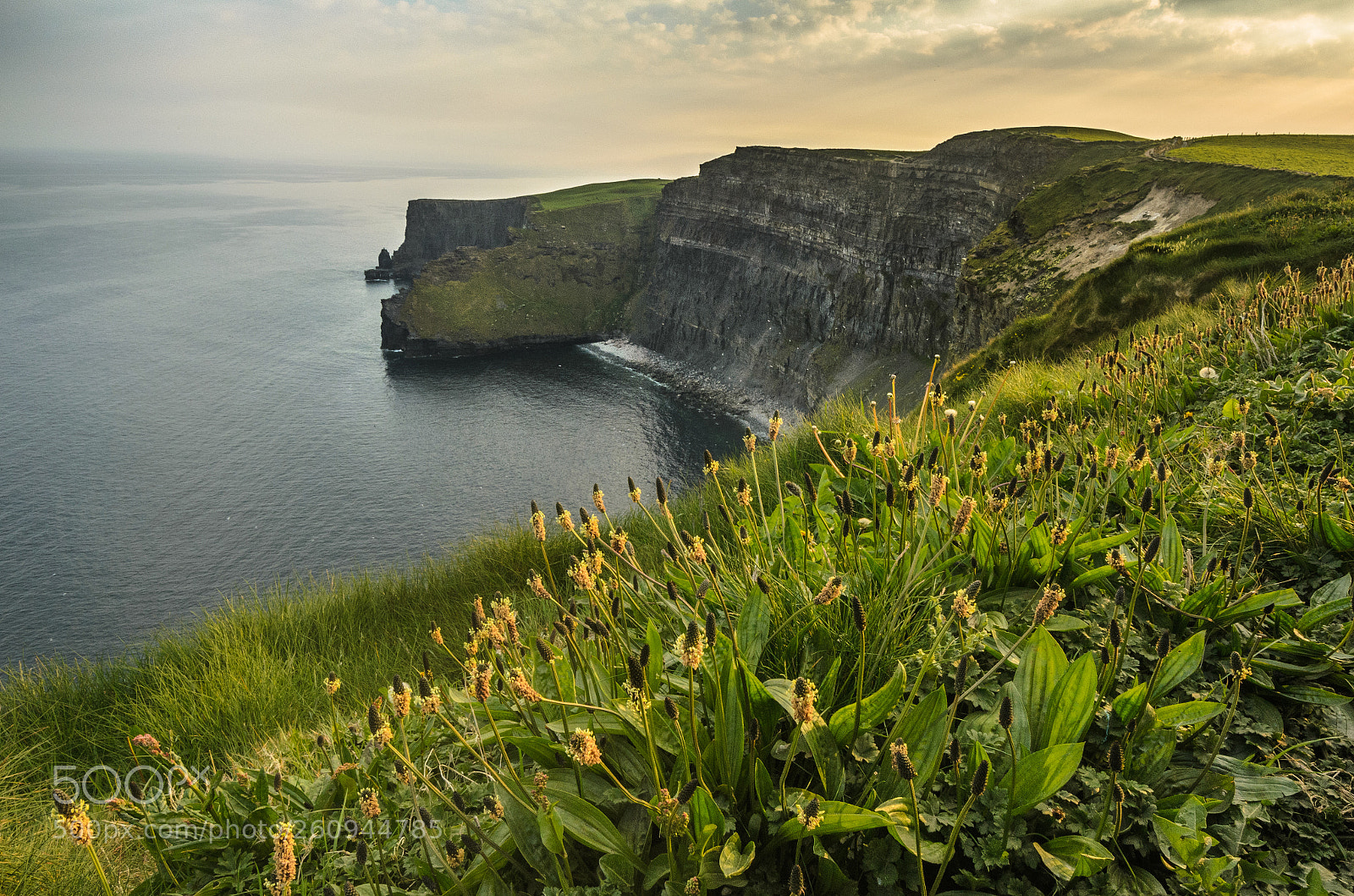 Nikon D5100 sample photo. Beautiful irish coastline photography