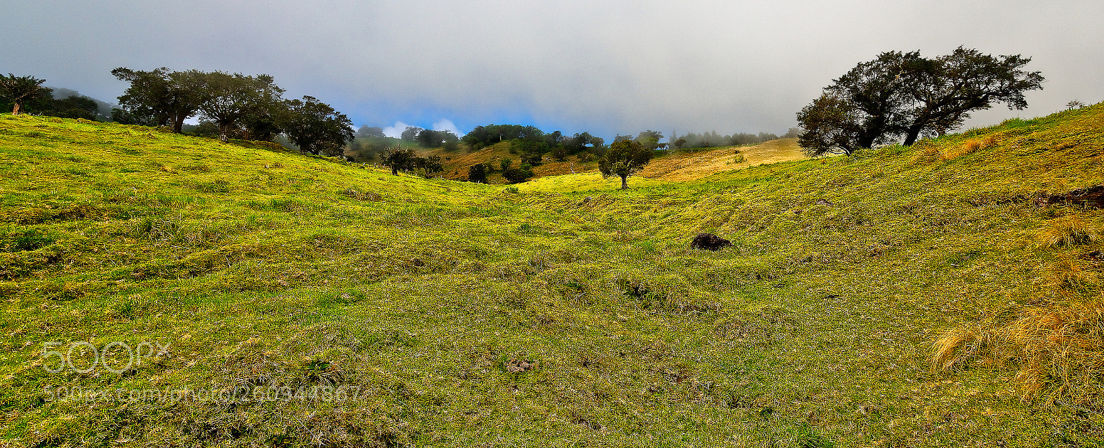 Nikon D7000 sample photo. Pasture photography