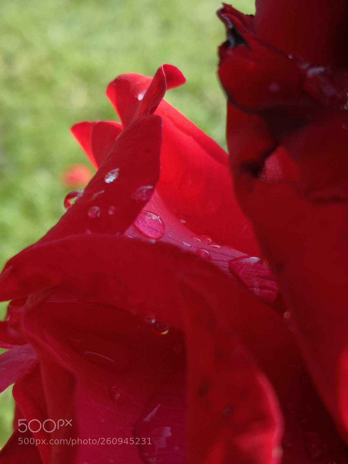 HUAWEI Mate 10 Pro sample photo. Untitled photography