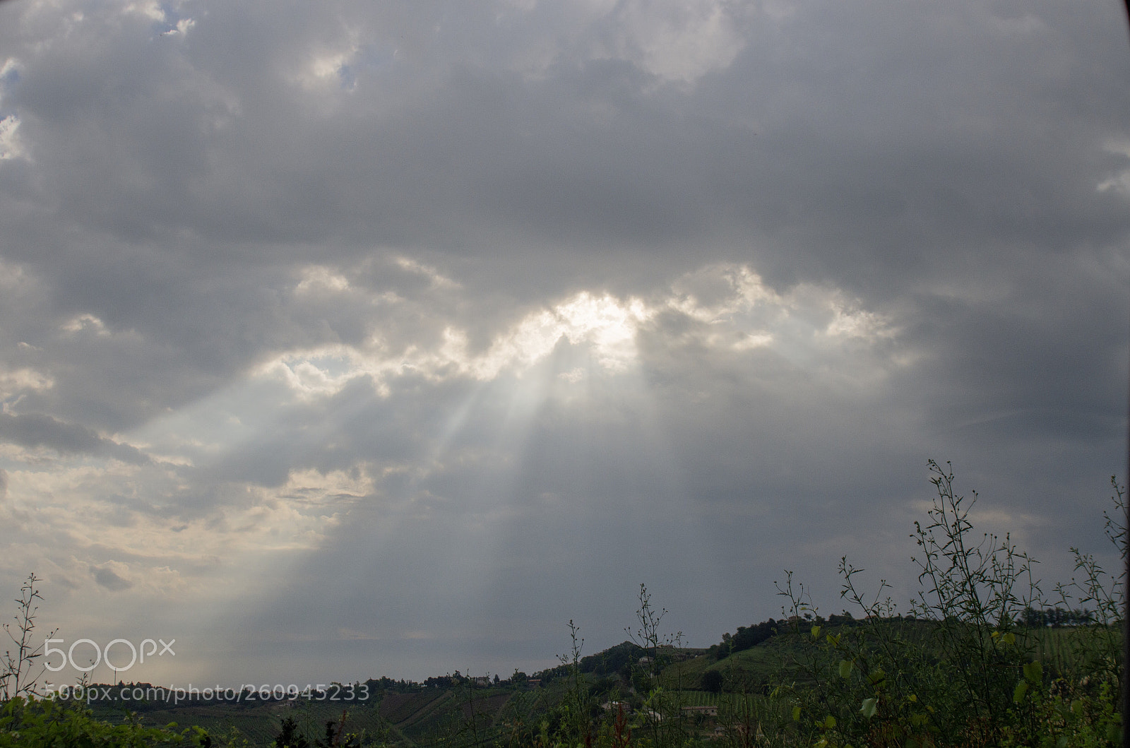 Pentax K-5 sample photo. Untitled photography