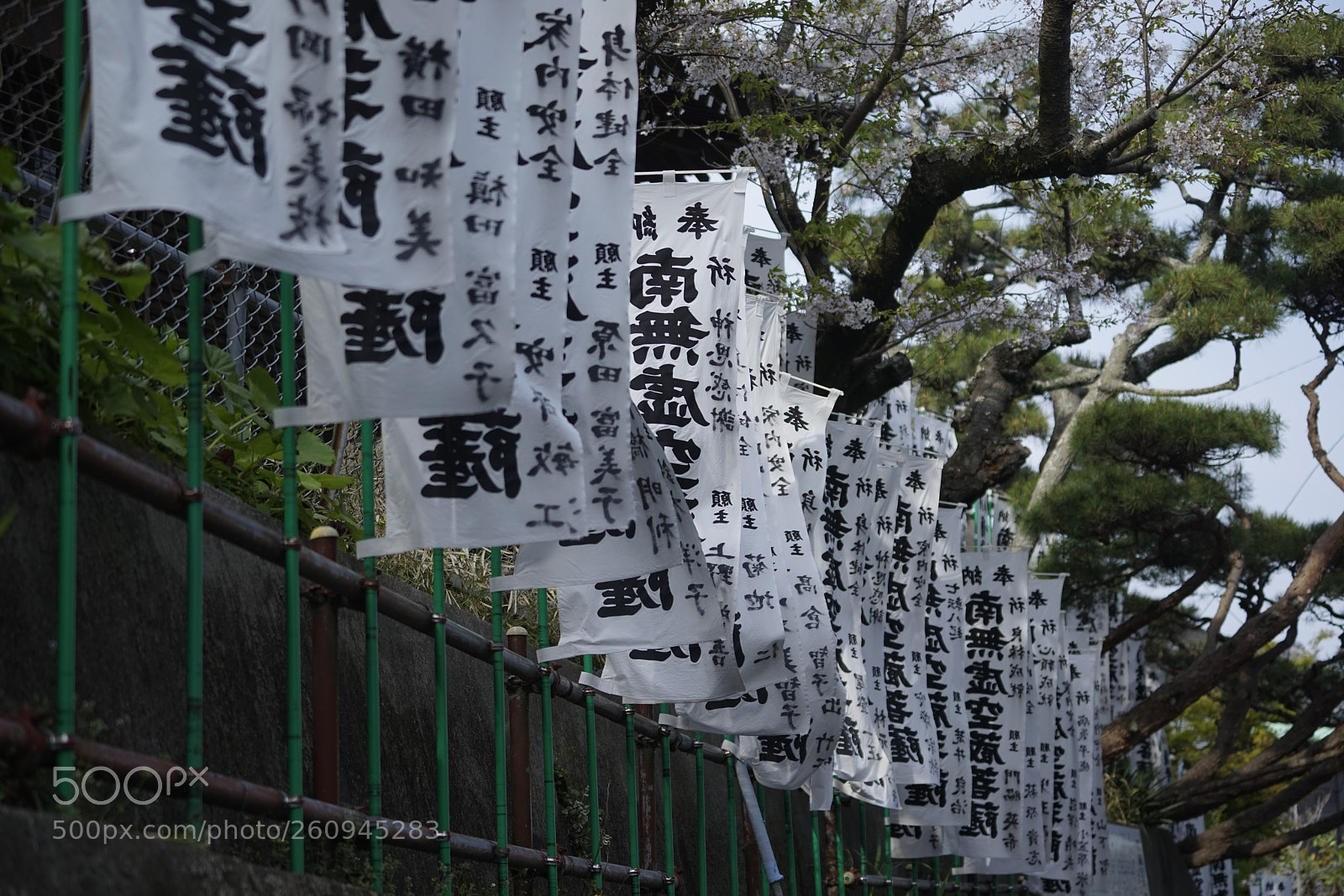 Sony a7R sample photo. Dsc photography
