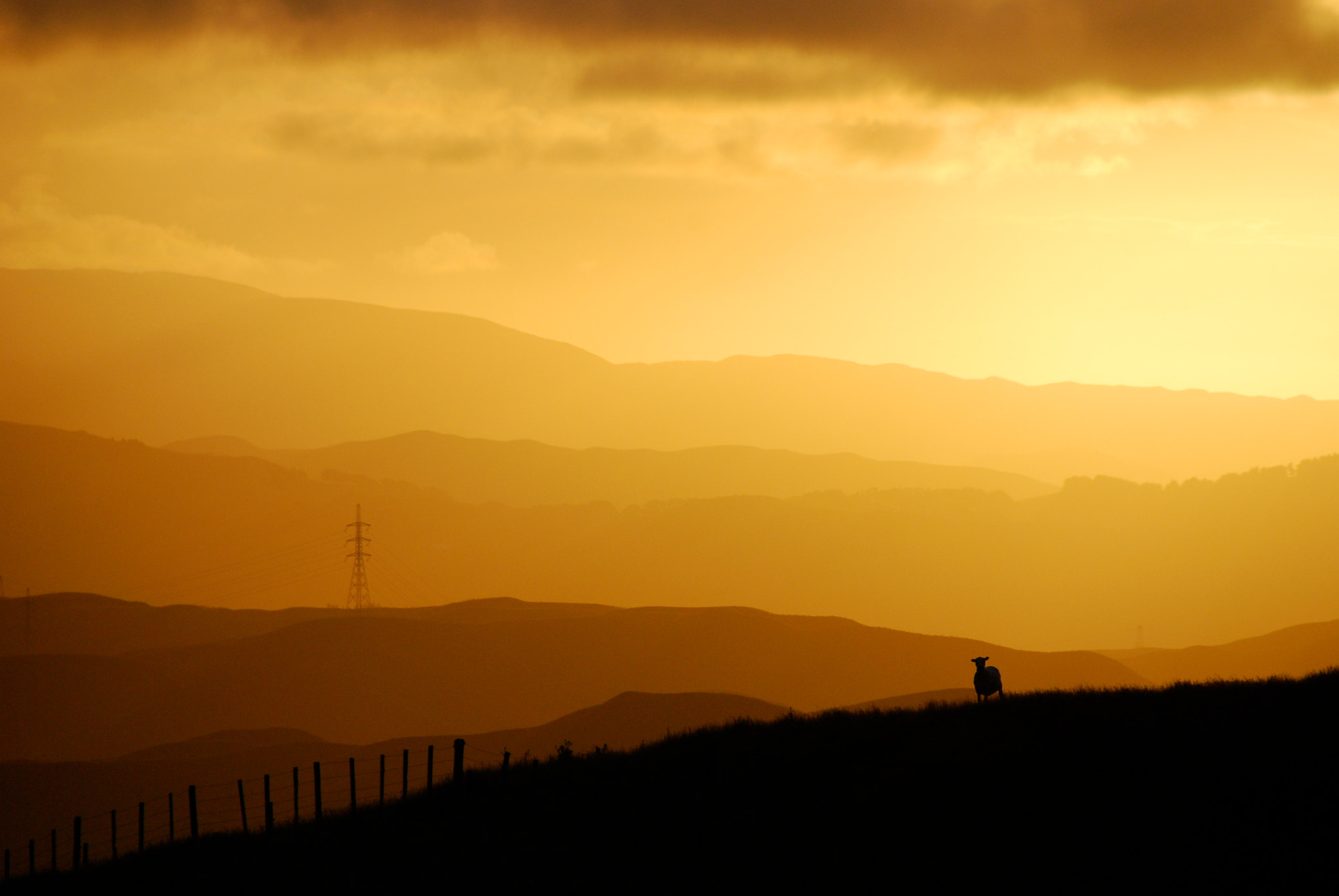 Nikon D80 sample photo. Churton park hills.  wellington.  new zealand. photography