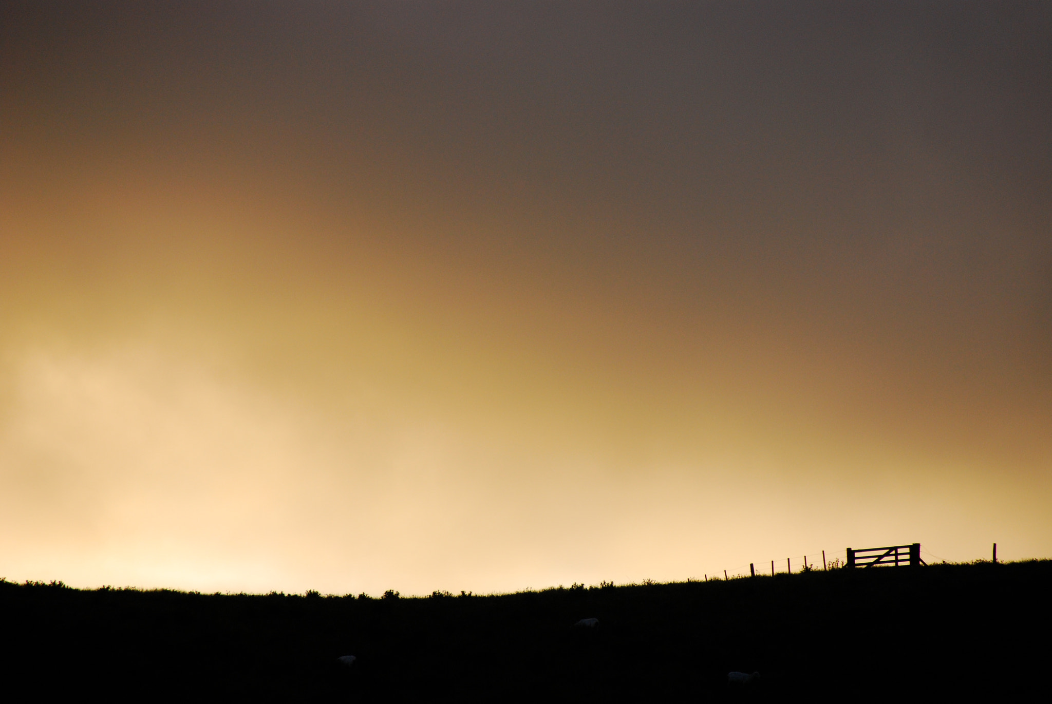 Nikon D80 sample photo. Churton park hills.  wellington.  new zealand. photography