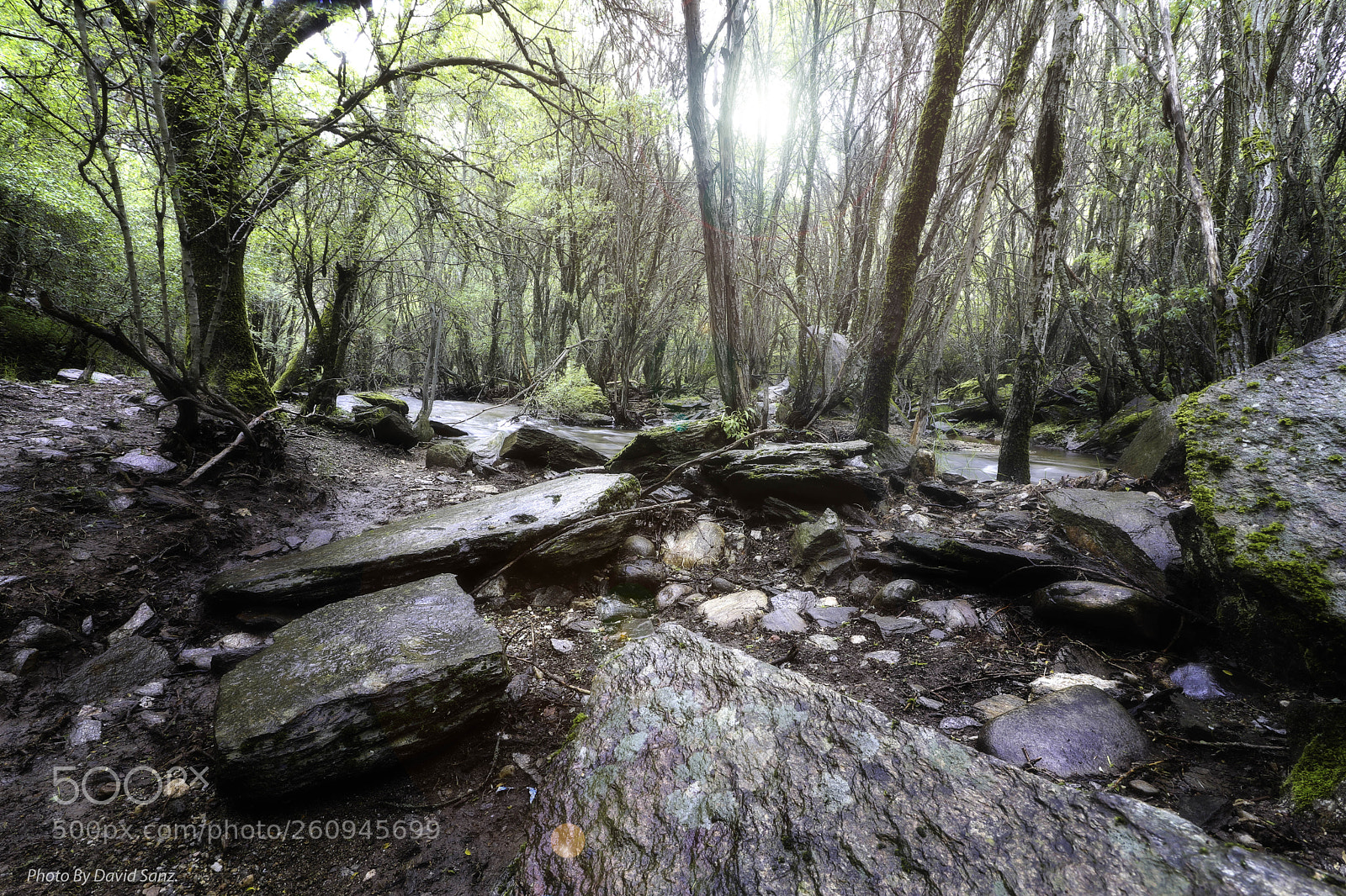 Canon EOS 80D sample photo. Montejo de la sierra.3 photography