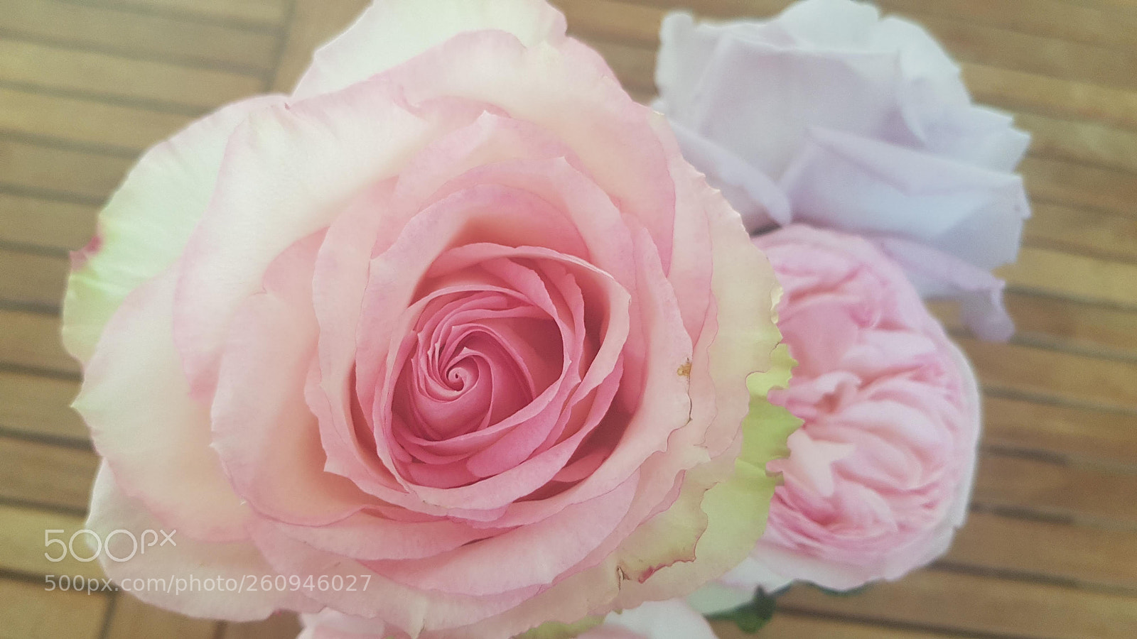 Samsung Galaxy S8 sample photo. Heart of a rose photography