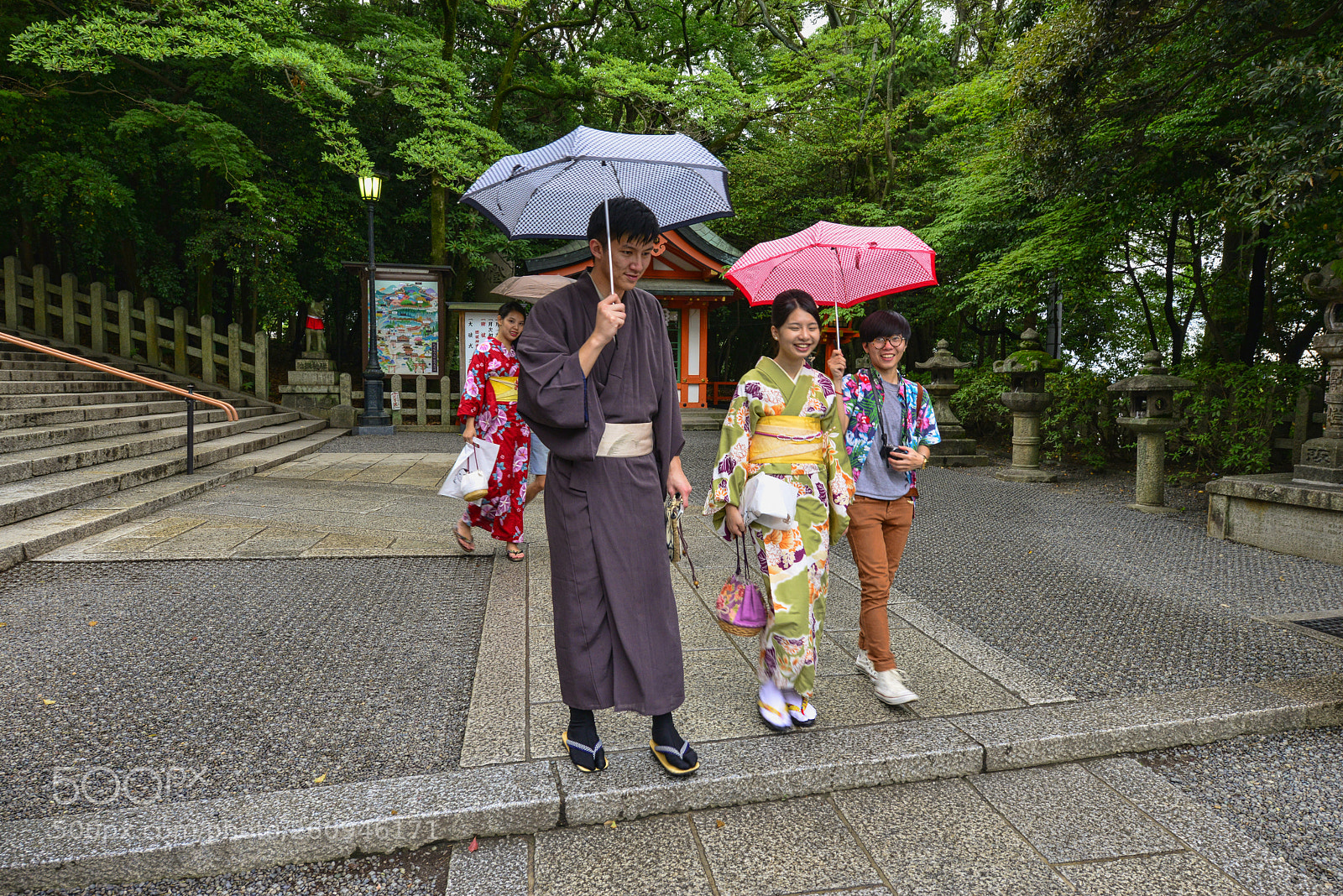 Nikon D800 sample photo. When rain is falling photography