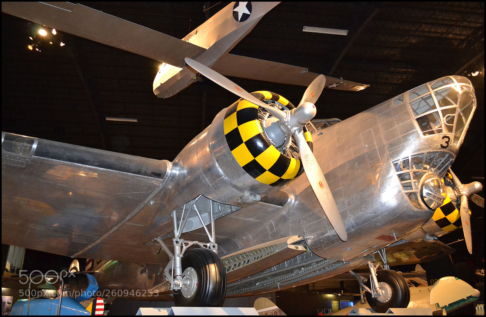 Nikon D3100 sample photo. The sole remaining douglas photography