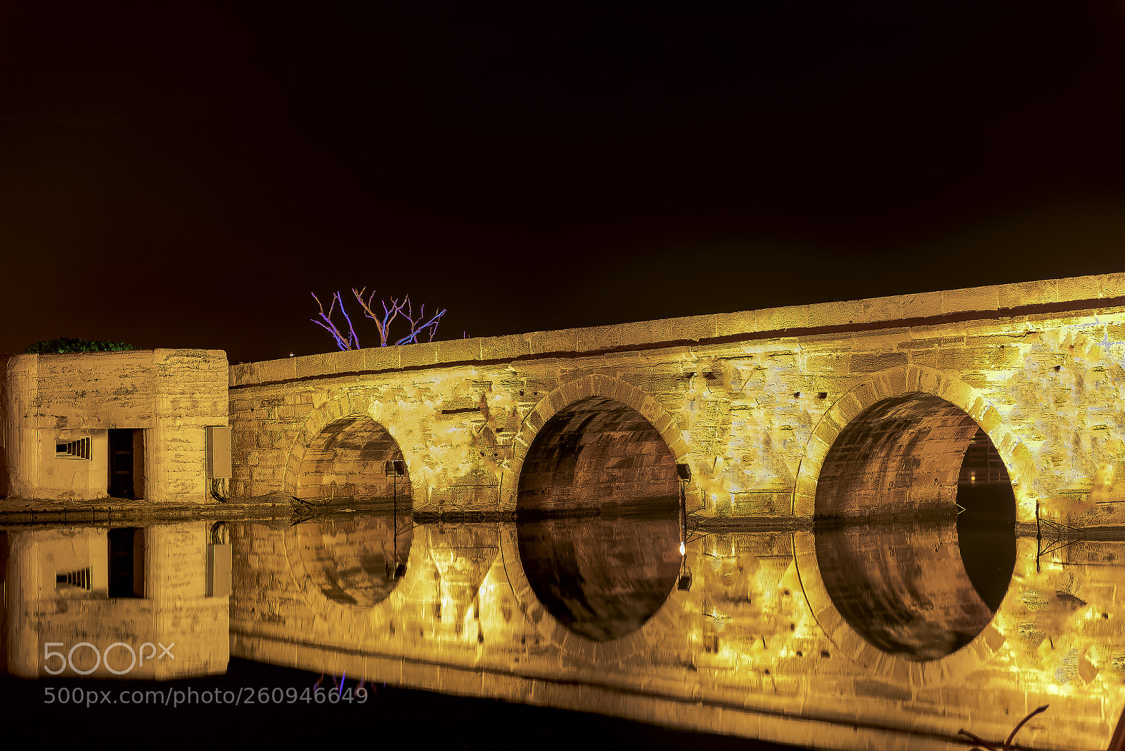 Nikon D810 sample photo. Symmetry bridge photography