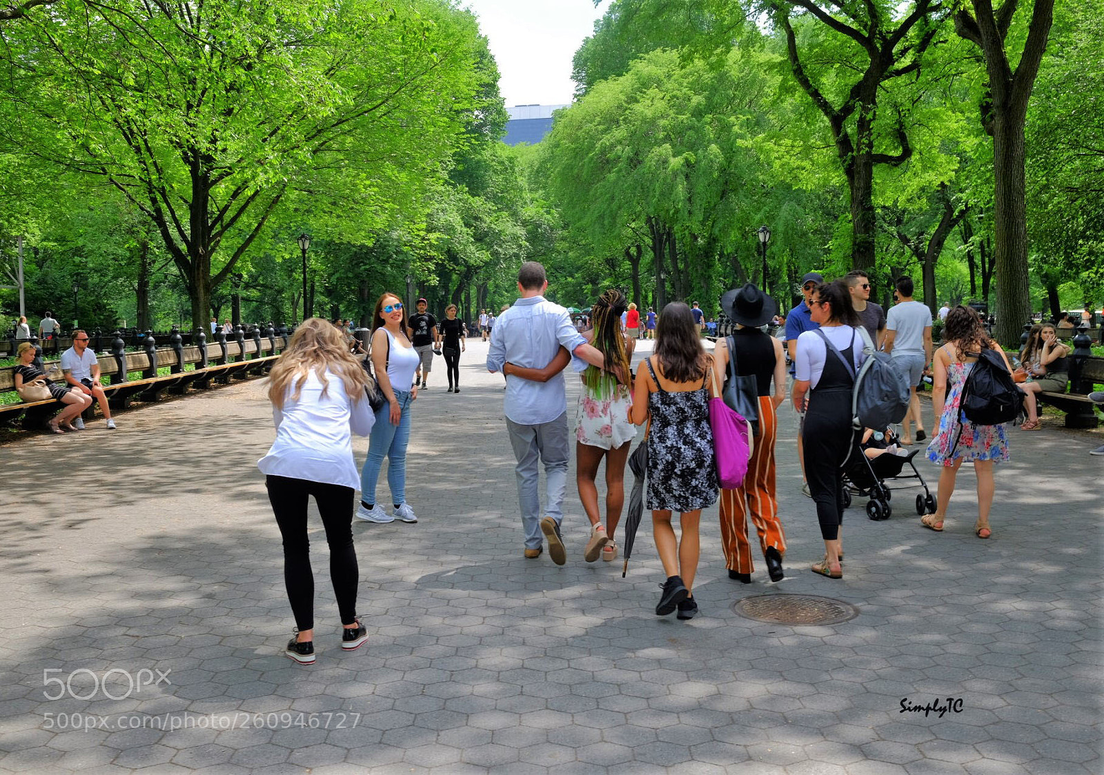 Fujifilm X-T1 sample photo. The proposal 5 of 5 photography