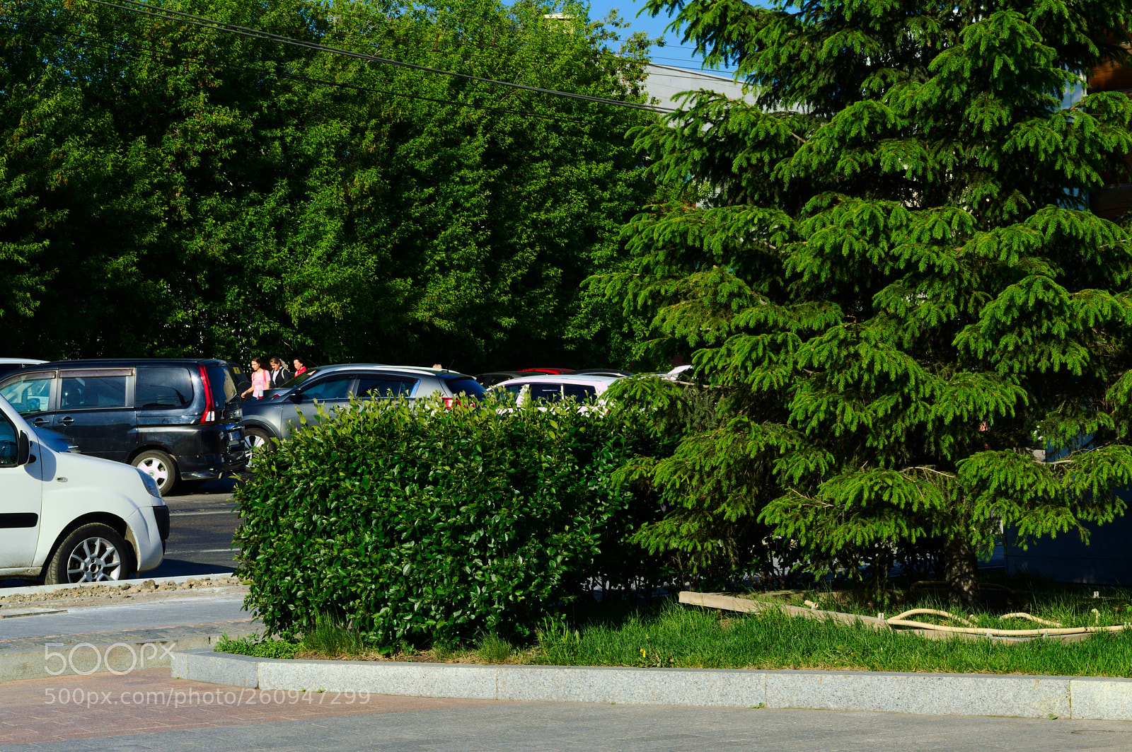 Nikon D3200 sample photo. Зеленые фото photography