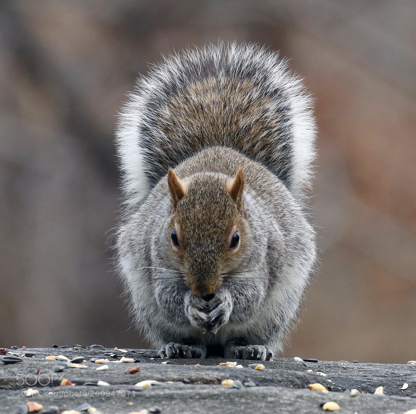 Canon EOS 7D Mark II sample photo. Lunchtime photography