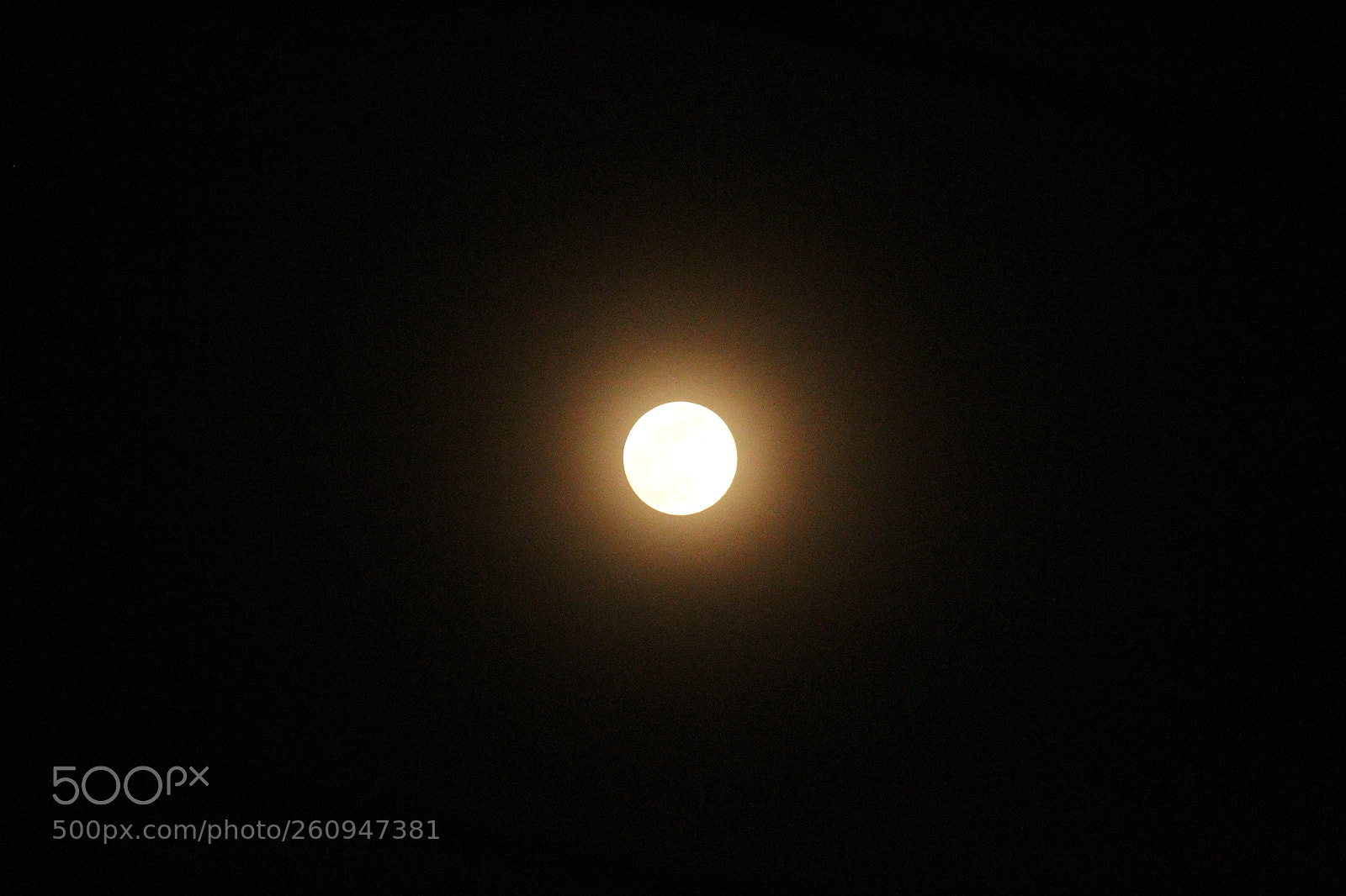 Canon EF-S 55-250mm F4-5.6 IS II sample photo. Untitled photography