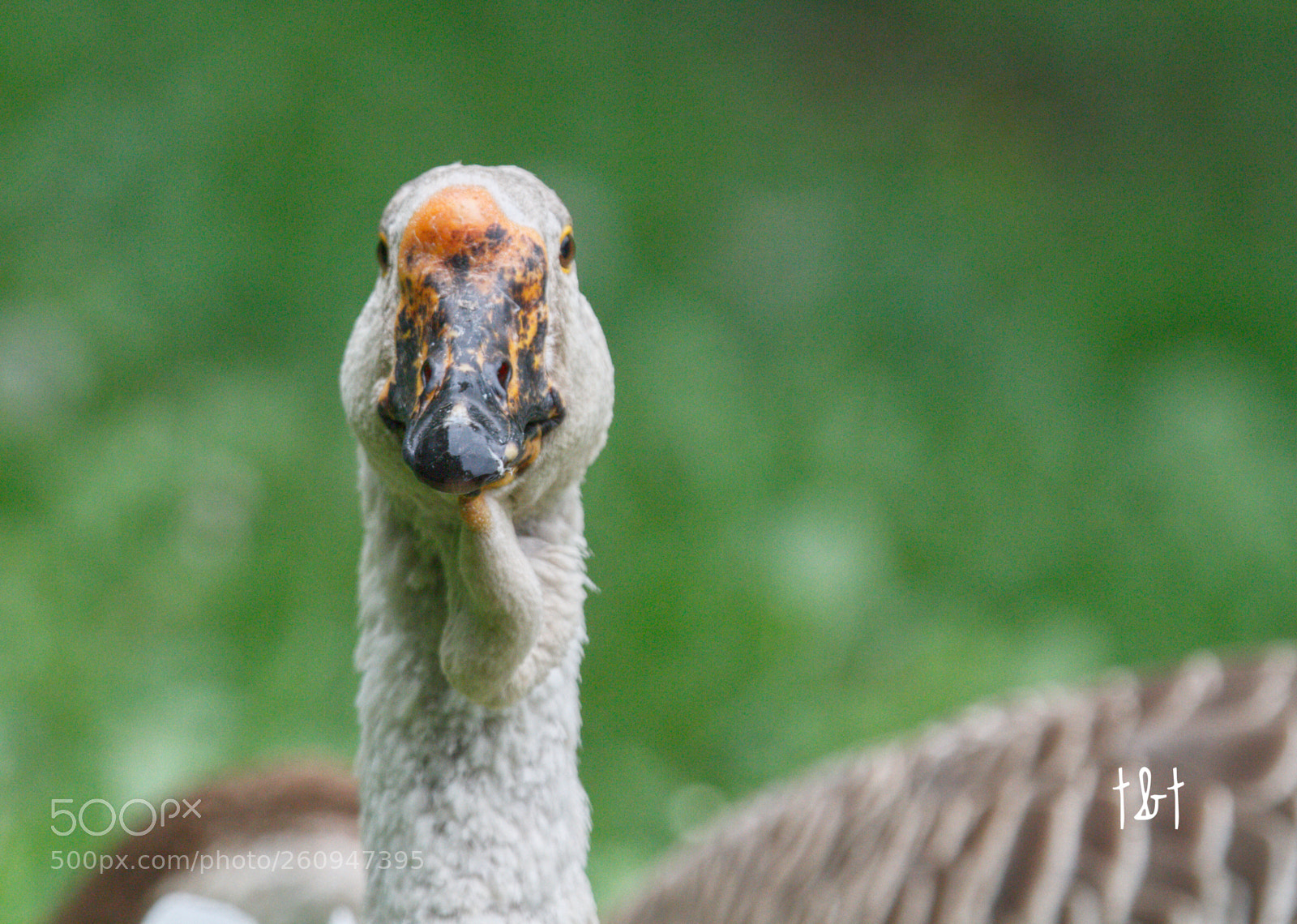 Canon EOS 7D sample photo. Untitled photography