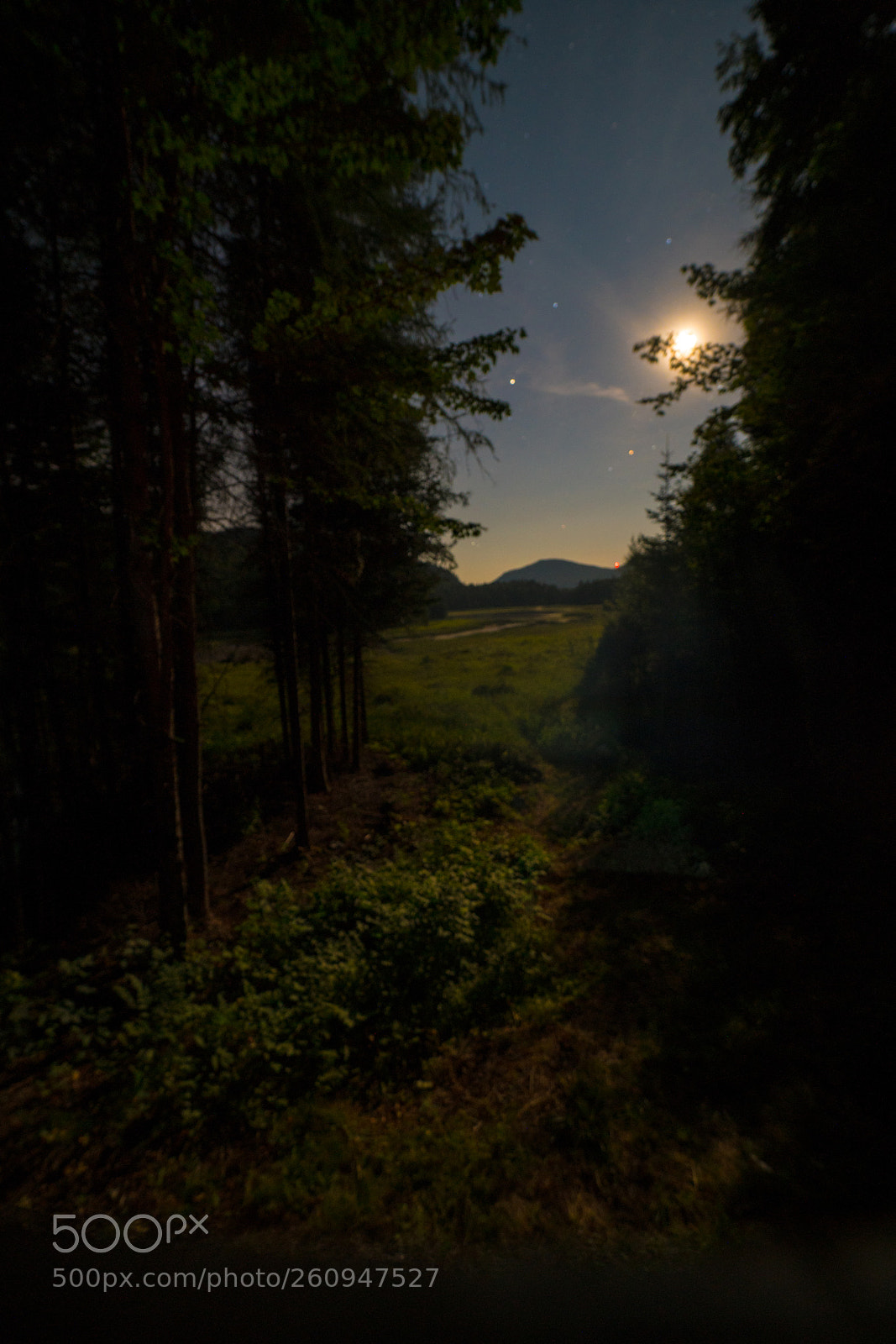 Sony a7R II sample photo. Mont tremblant np photography