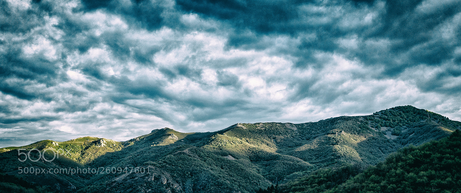 Canon EOS 5D Mark IV sample photo. Cloudy photography