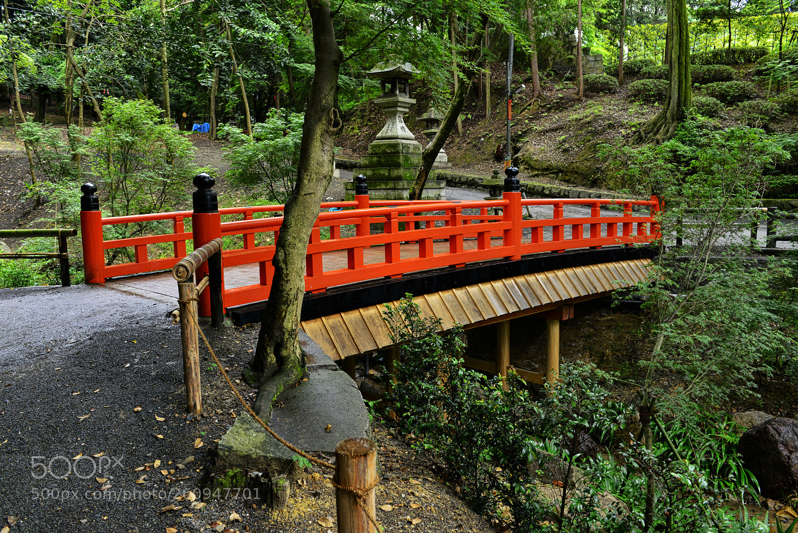 Nikon D800 sample photo. Bridge photography