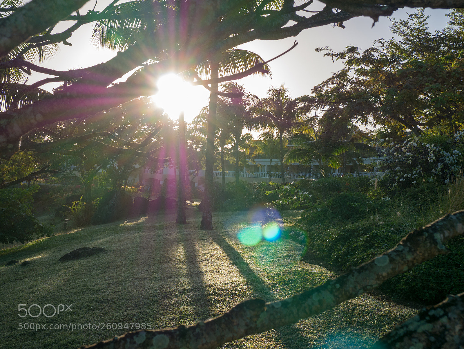 Panasonic Lumix DMC-GX7 sample photo. Golden hour in mauritius photography