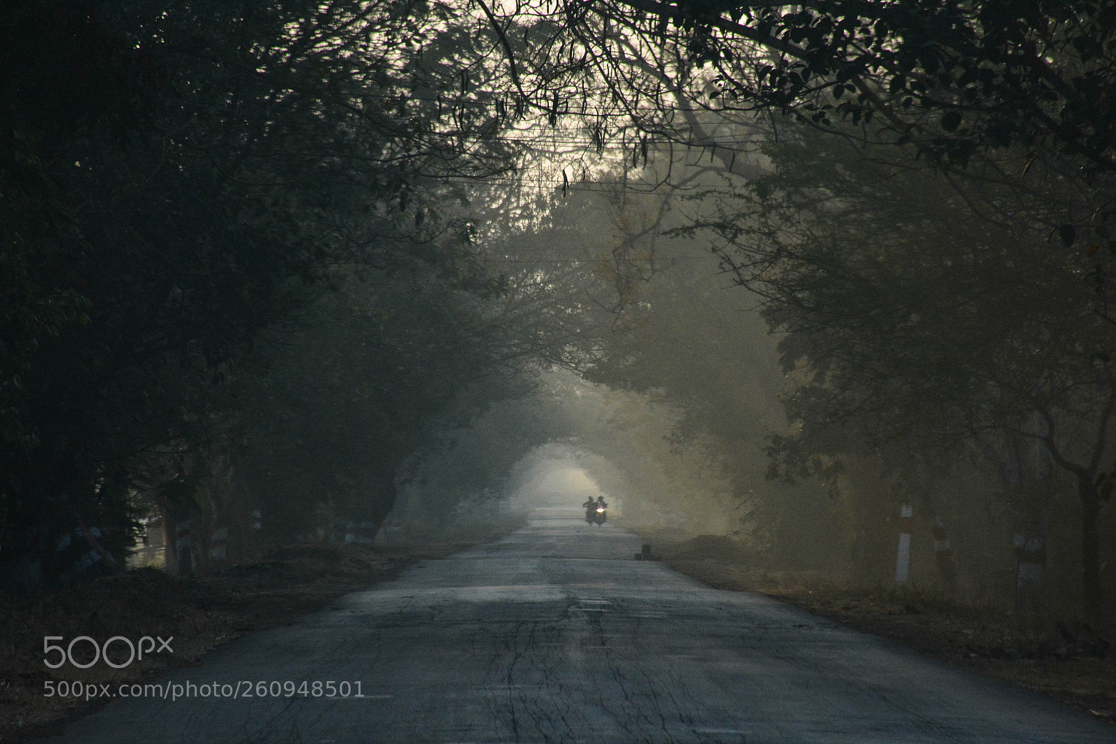 Nikon D7100 sample photo. Road or portal photography