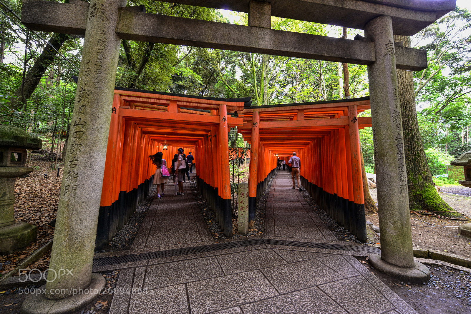 Nikon D800 sample photo. Switch photography