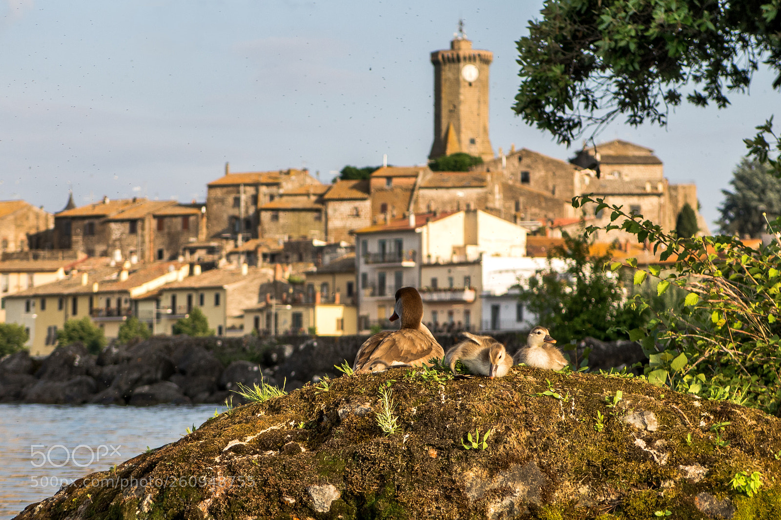 Canon PowerShot G16 sample photo. Anatroccoli con sfondo il photography