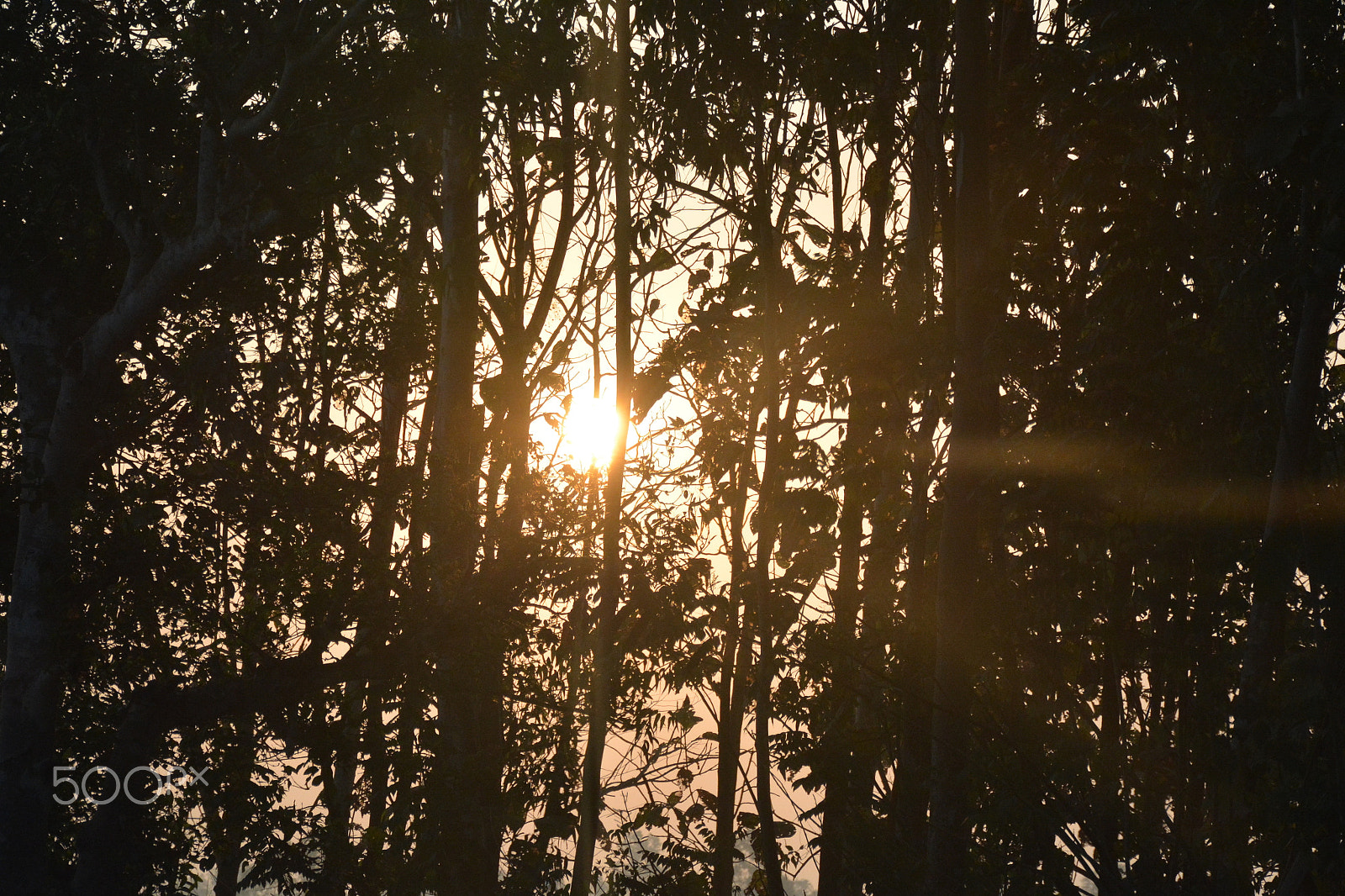Nikon D7100 sample photo. On my way photography