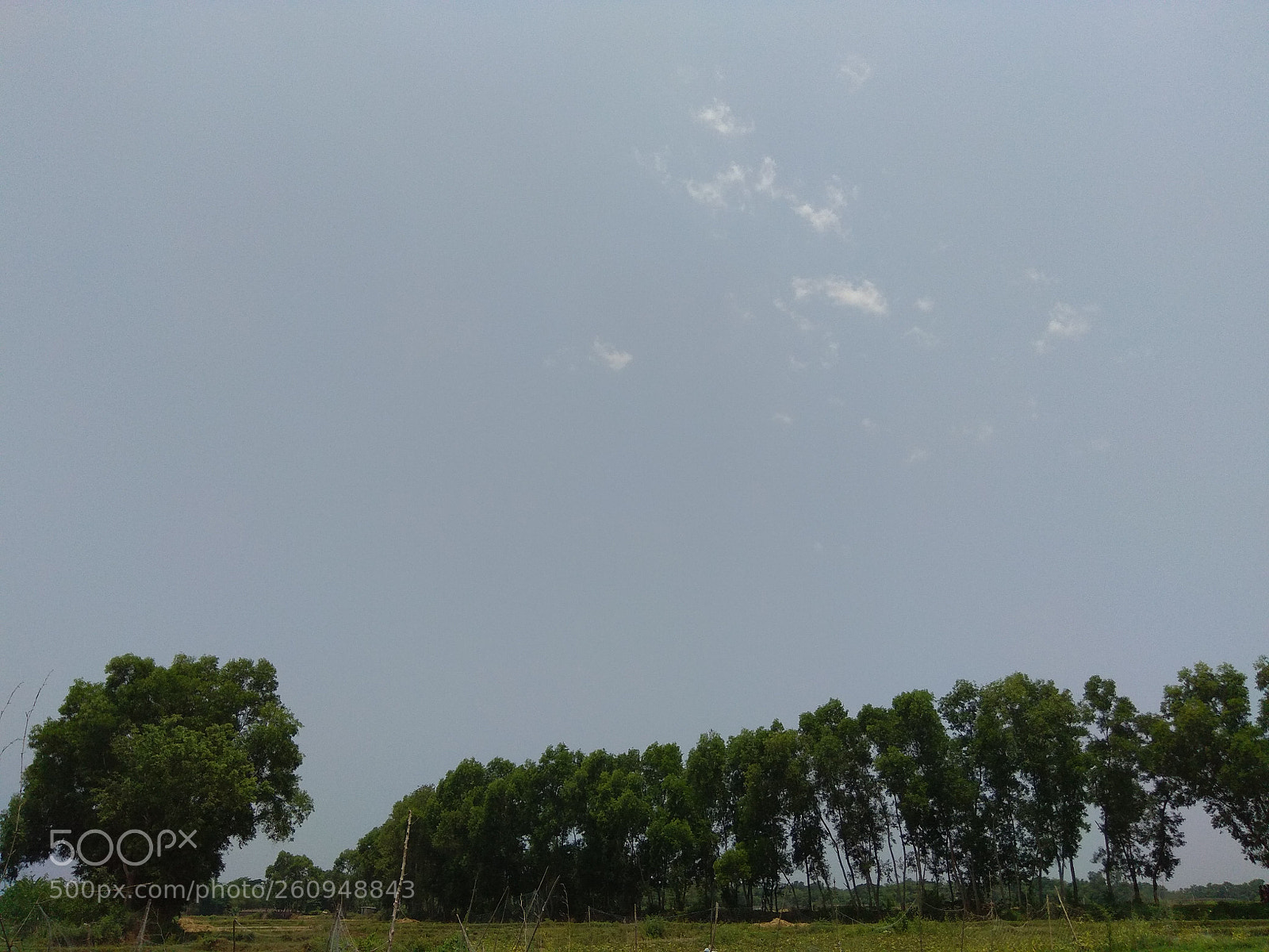 Xiaomi Redmi Note 4 sample photo. Untitled photography