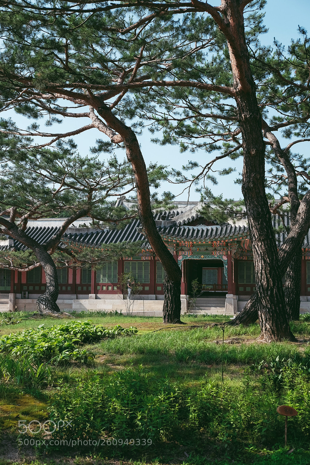 Fujifilm X-T1 sample photo. Untitled photography