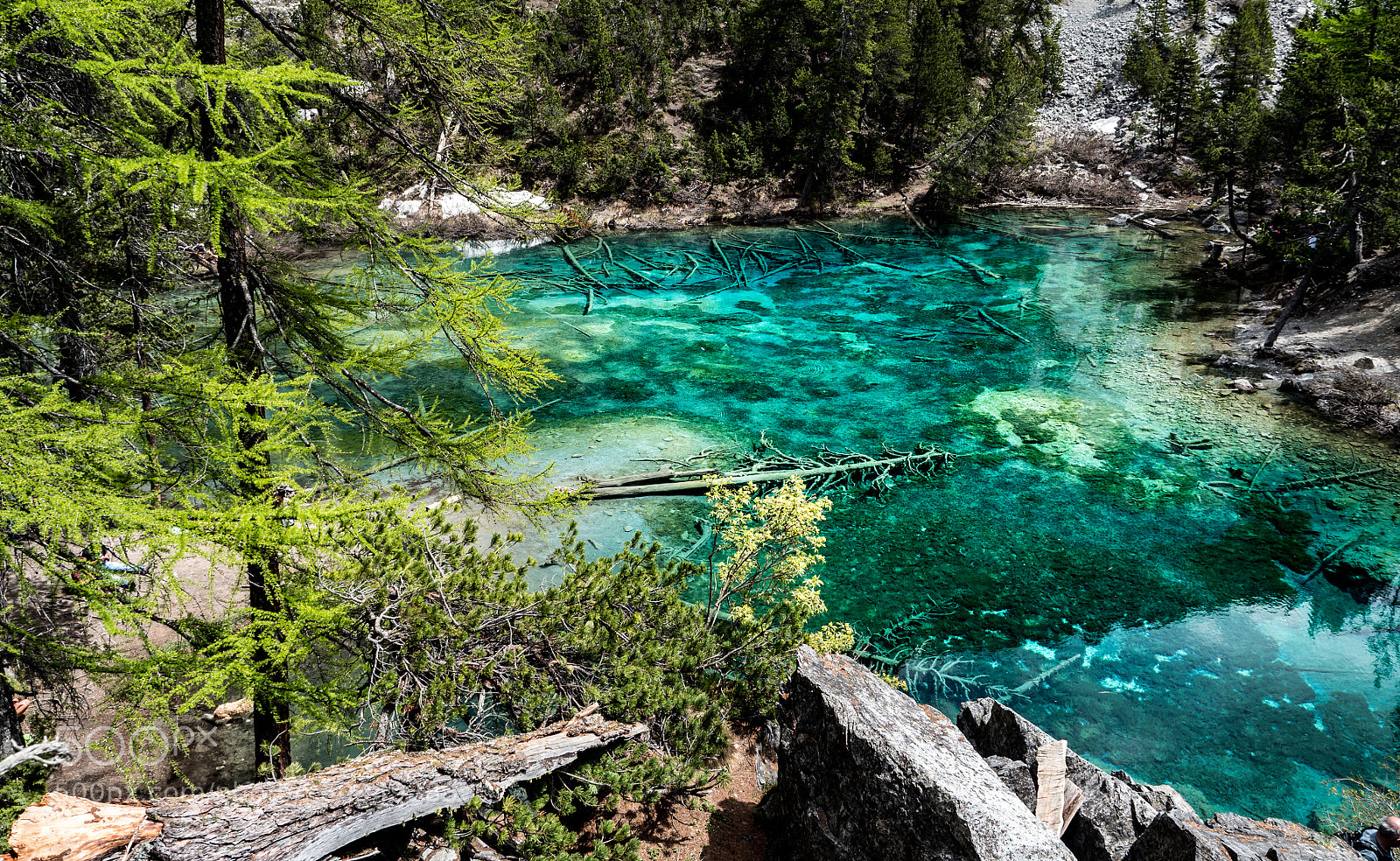 Olympus OM-D E-M5 II sample photo. Lago verde photography