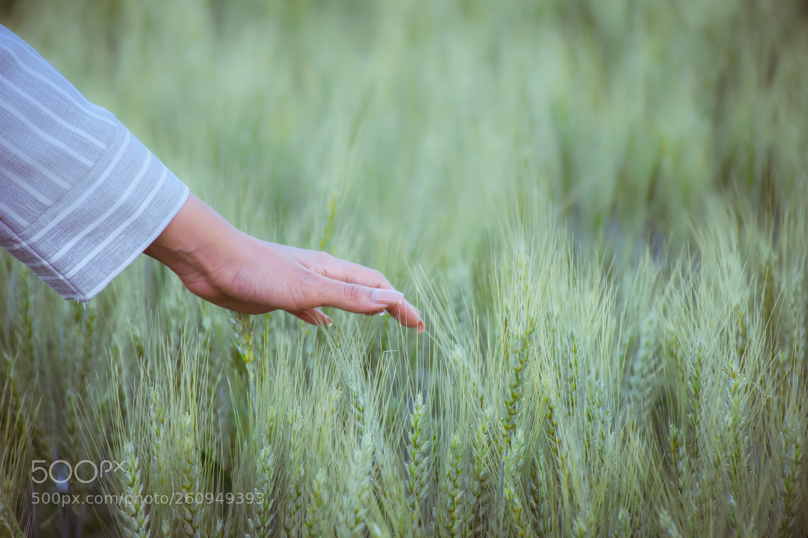 Nikon D7200 sample photo. Feel the nature photography